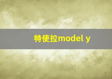 特使拉model y